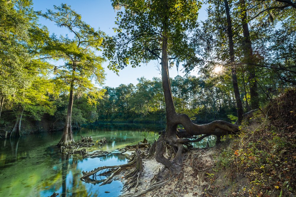 madison-blue-spring-state-park-nature-landscape-florida-FL-USA-US-roadtrip-travel-photography-photographer.jpg