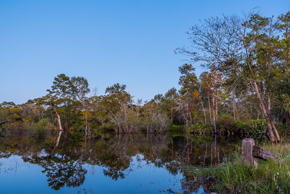 dusk-blue-hour-lake-near-stephen-c-foster-state-park-georgia-state-US-GA-travel-hidden-treasures-USA-photography.jpg