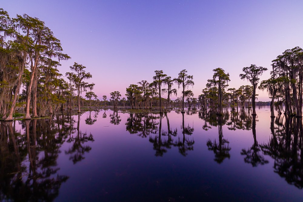 sunset-purple-georgia-banks-lake-wildlife-refuge-cypress-tree-reflection-blackwater-lake-dusk-evening.jpg