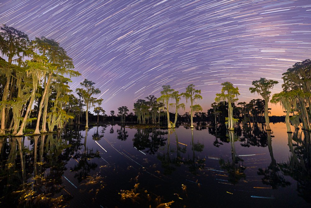 star-trails-night-evening-photography-dark-long-exposure-multiple-exposures-stacking-banks-lake-wildlife-refuge-georgia-GA.jpg