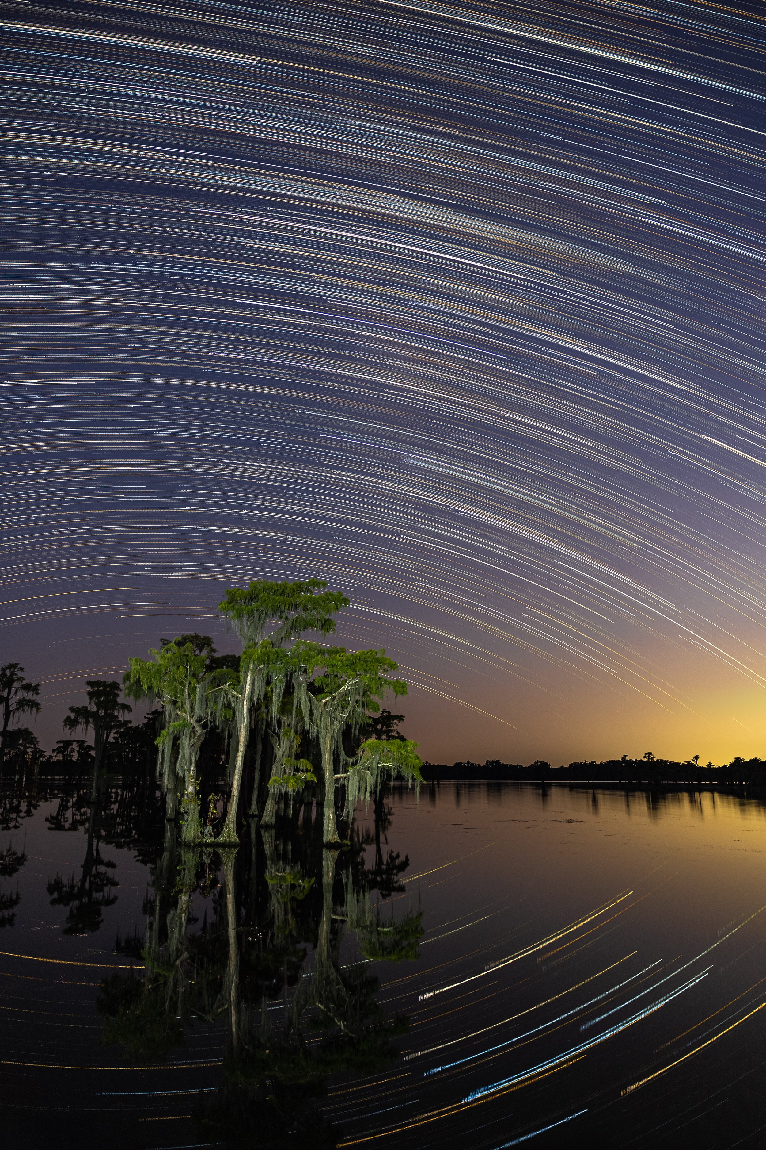 star-trails-startrail-cypress-trees-moss-mossy-banks-lanke-wildlife-refuge-georgia-south-USA-US-amalia-bastos-photography-travel-photographer.jpg