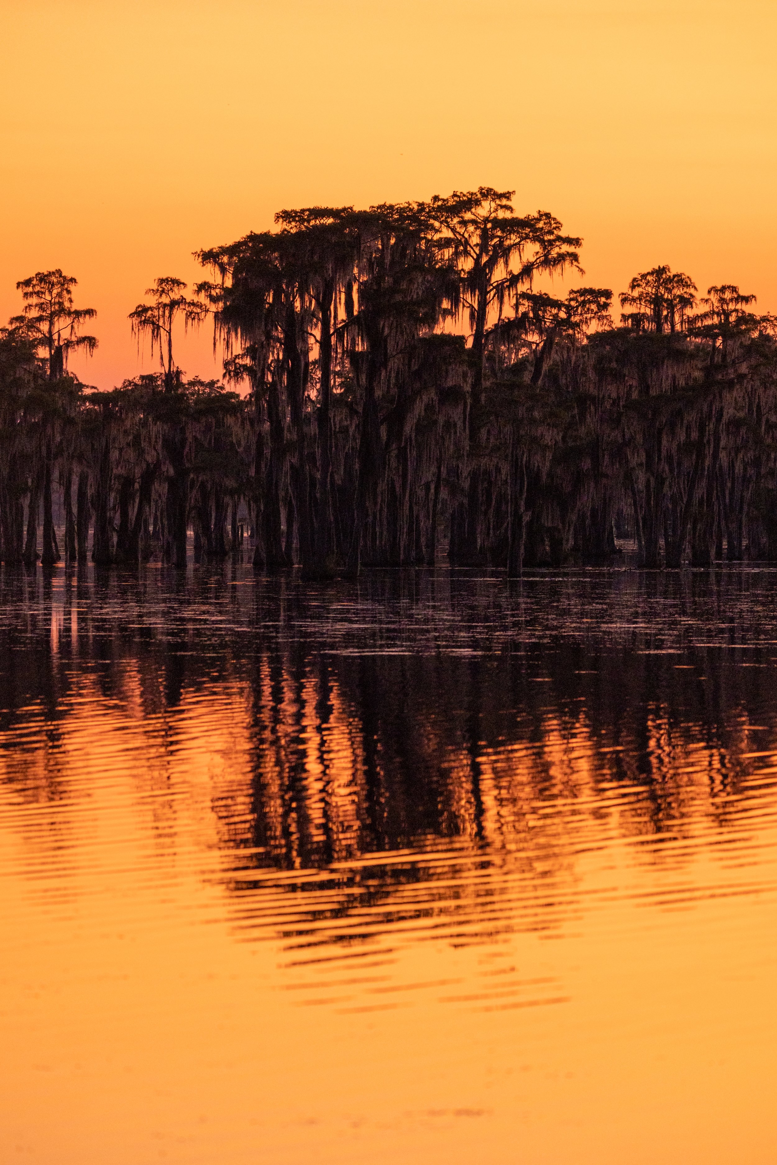 sunset-blazing-blood-orange-sky-skies-banks-lake-georgia-evening-falling-wildlife-refuge-GA-USA-US.jpg