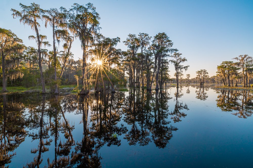 sun-rising-banks-lake-georgia-valdosta-blue-skies-cypress-trees-spanish-moss-reflection-photography-photographer-travel-US-USA.jpg