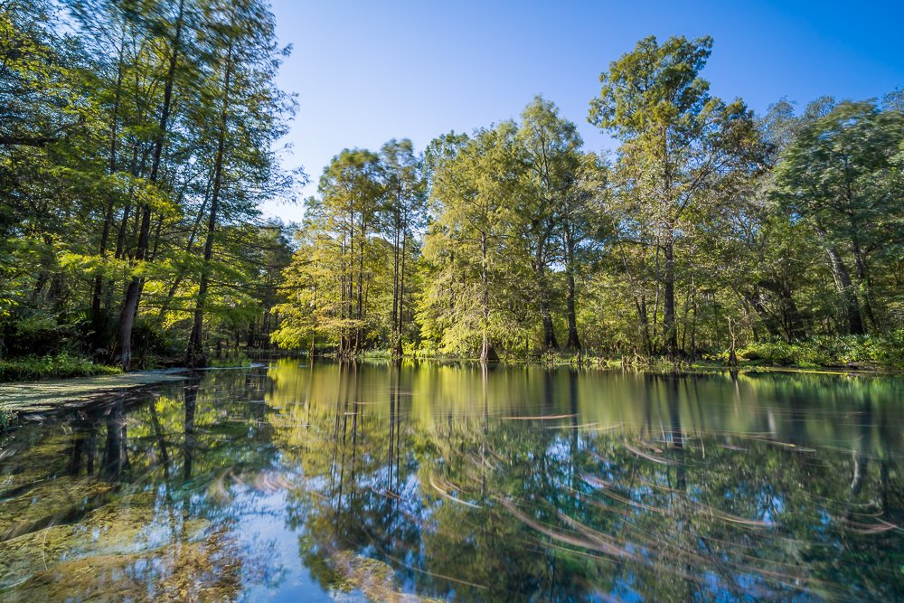 wes-skiles-peacock-springs-state-park-north-florida-FL-suwanee-county-photography-photo-opportunities-landscapes.jpg