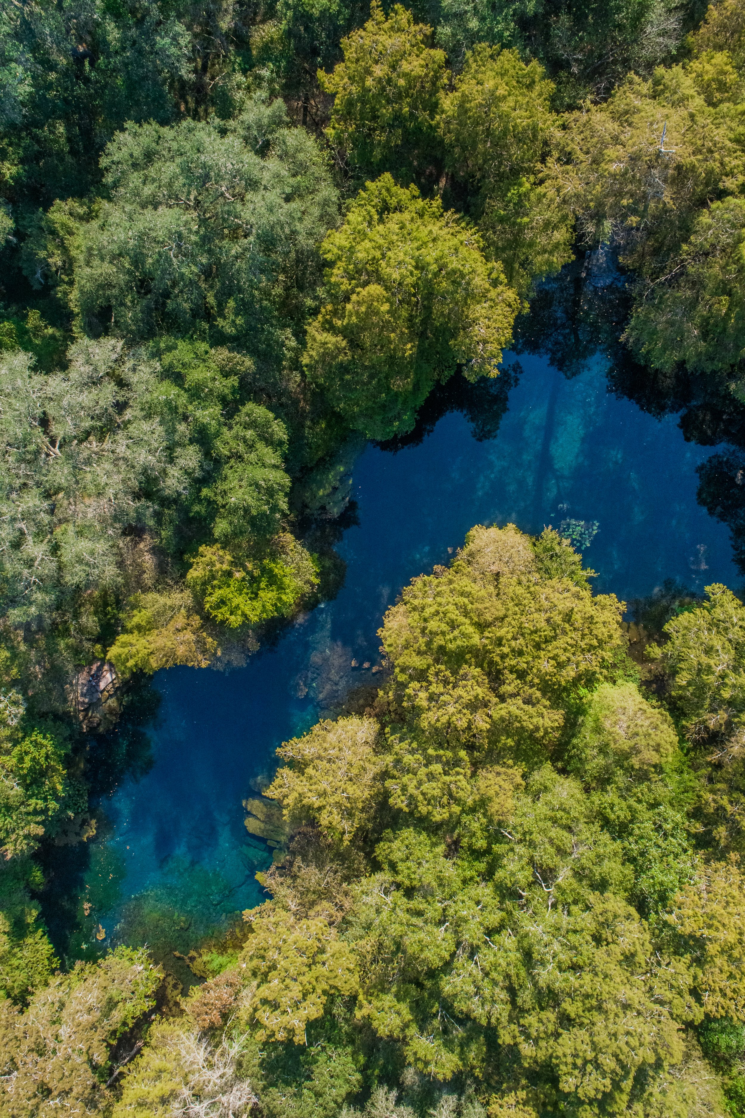 wes-skiles-peacock-state-park-north-florida-US-USA-roadtrip-travel-photography-drone-aerial-flight.jpg