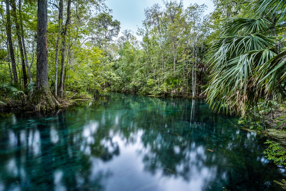 north-florida-silver-springs-state-park-long-exposure-HDR-photography-technique-fauna-water-river-landscape.jpg