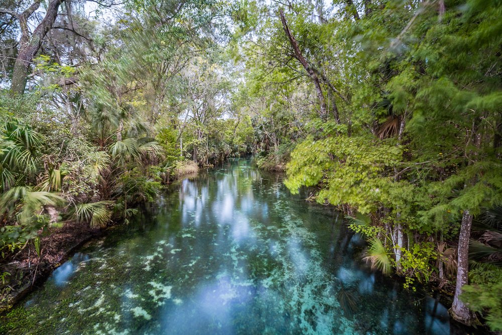 silver-springs-state-park-north-florida-long-exposure-HDR-photograph-photo-blog-travel-photography.jpg