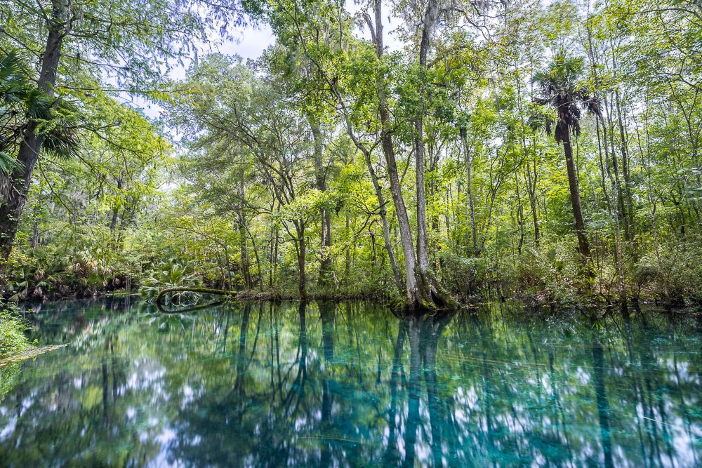 silver-springs-florida-state-park-HDR-composite-image-exposures-long-river-cloudy-day.jpg