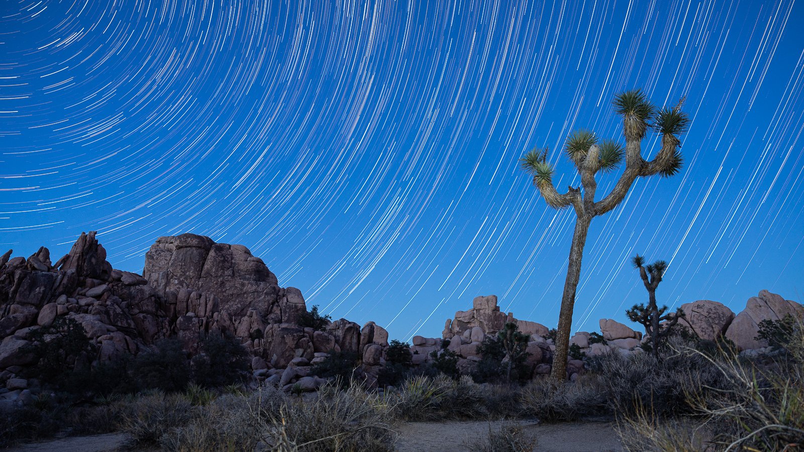 joshua-tree-national-park-nature-trail-walk-hike-star-trails-california-night-dusk-blue-hour.jpg