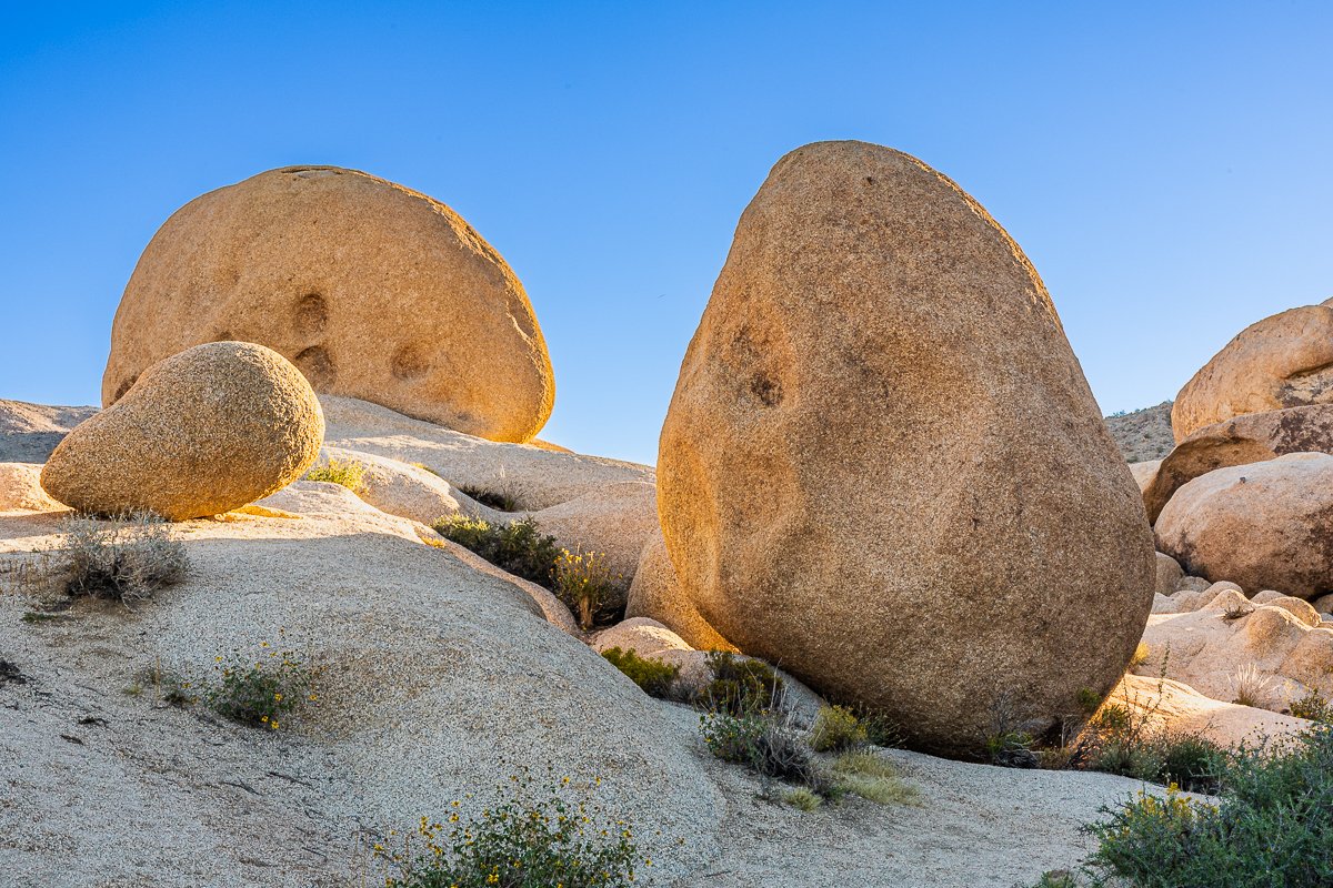 boulders-arch-rock-walk-joshua-tree-national-park-path-heart-rock-morning-light-southern-california.jpg