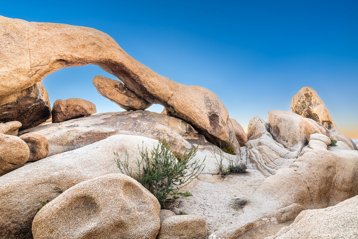 arch-rock-joshua-tree-national-park-sunrise-morning-foreground-goose-neck-formation.jpg