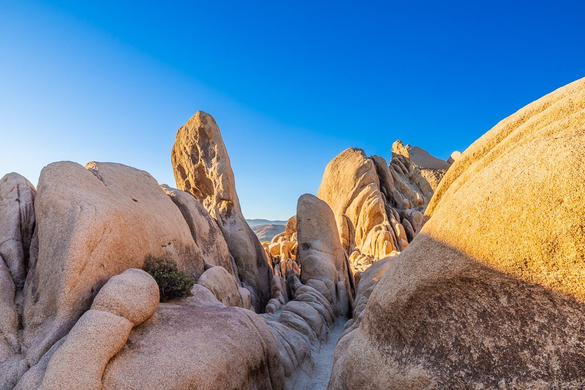 rock-formations-arch-joshua-tree-national-park-walk-sunrise-early-morning-photographer-travel.jpg