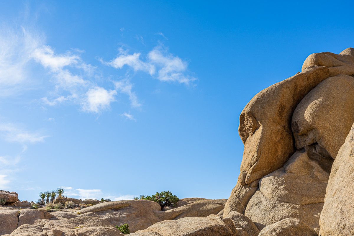 jumbo-rocks-joshua-tree-national-park-landscape-granite-boulders-walk.jpg