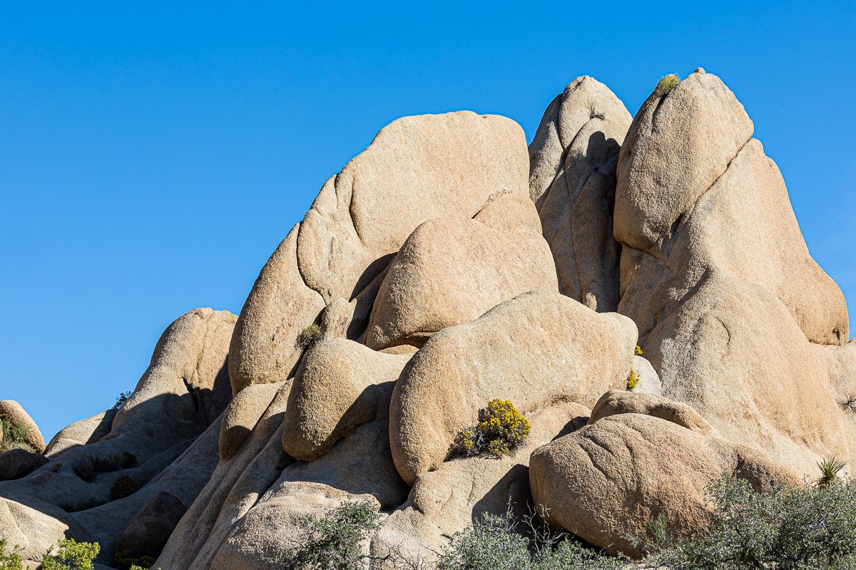jumbo-rocks-joshua-tree-national-park-walk-morning-boulder-granite-formations-geology.jpg