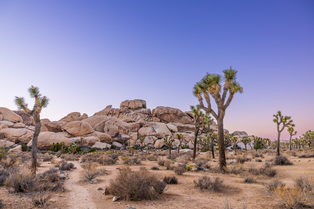 sunset-joshua-tree-hall-of-horrors-pink-sky-sunset-evening-dusk-walk.jpg