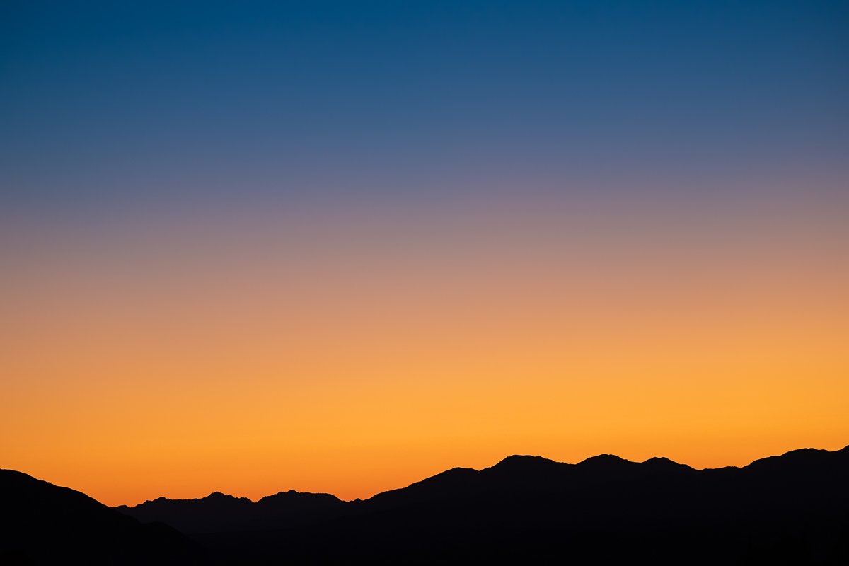dawn-sunrise-break-silhouette-joshua-tree-national-park-cholla-cactus-garden.jpg