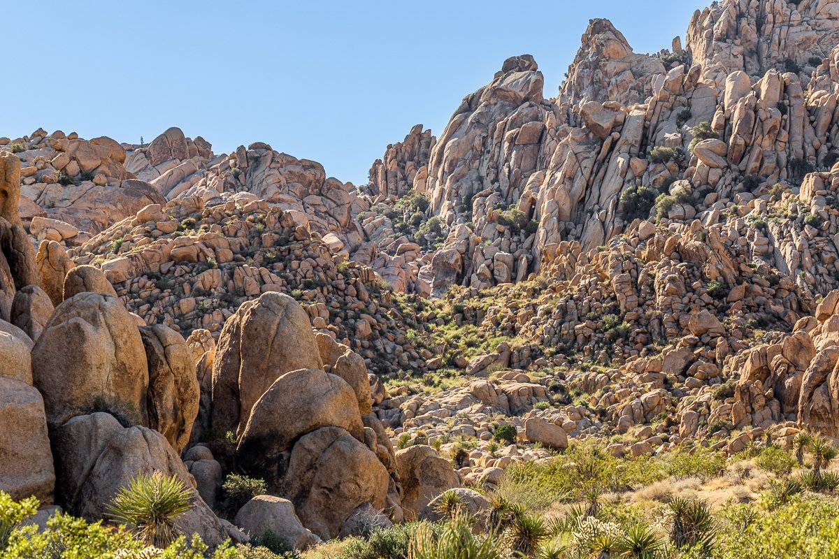 indian-cove-nature-trail-rock-boulder-sunlight-geological-formation-morning-walk-landscape-joshua-tree-national-park.jpg