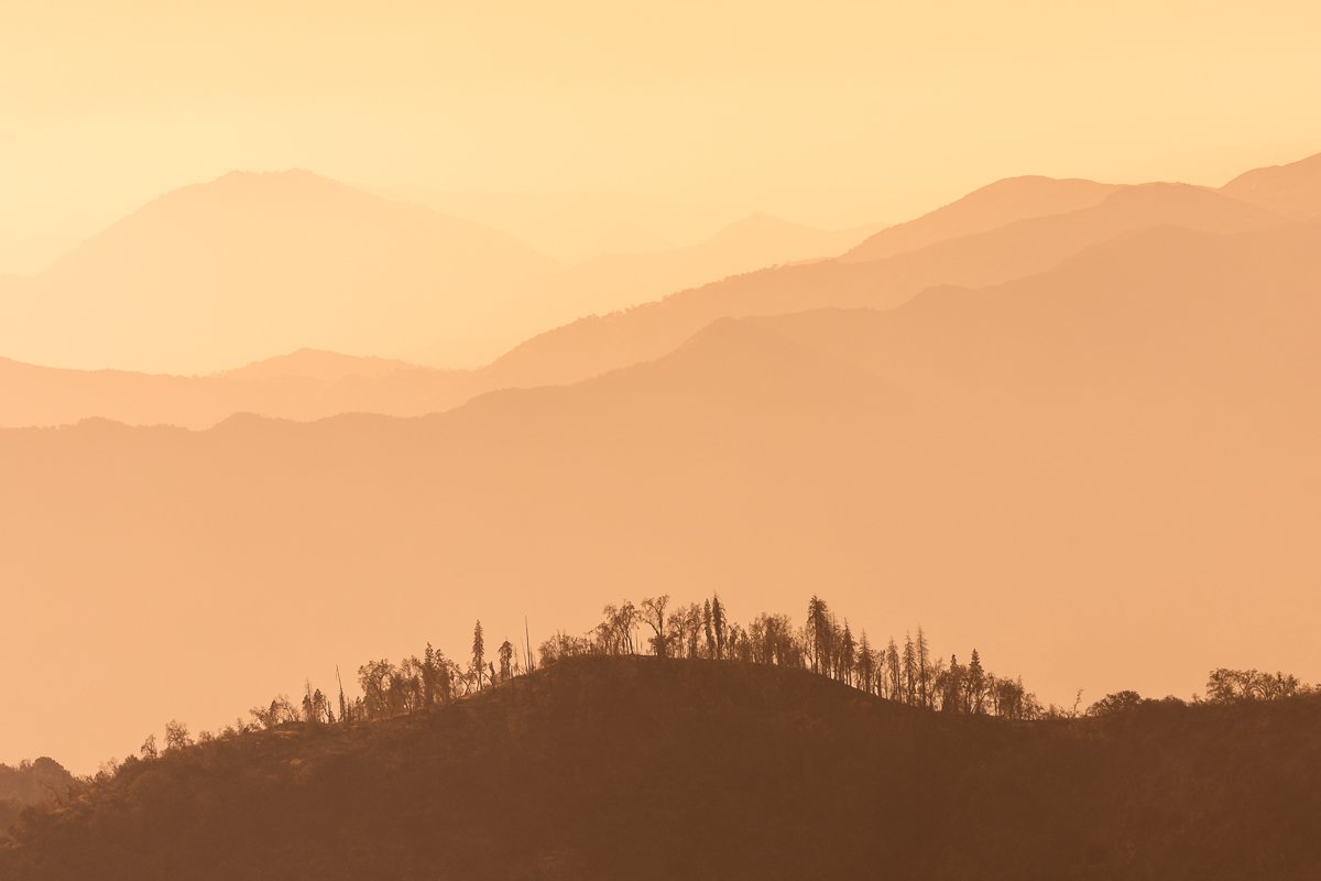 ridge-light-moro-rock-view-sequoia-national-park-trees-pine-fir-redwoods-redwood-orange-print-canvas.jpg