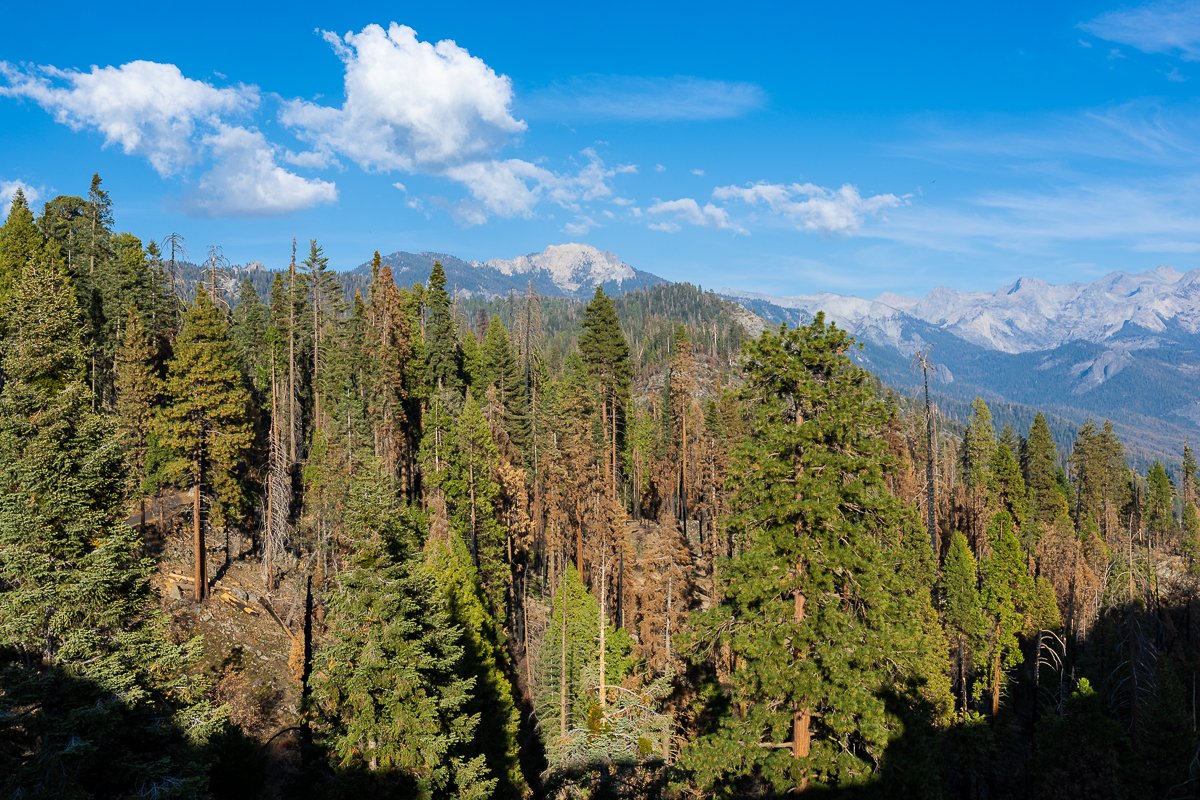 view-moro-rock-sequoia-national-park-landscape-above-aerial-treeline-photography-blog-post-travel.jpg