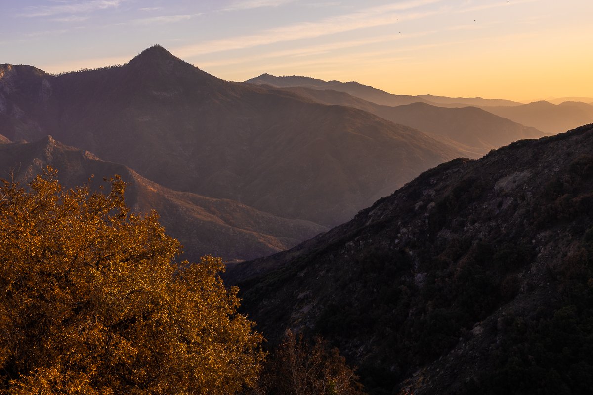 golden-sunset-light-sequoia-national-park-road-autumn-fall-light-tree-evening-hour-photography-blog-post.jpg