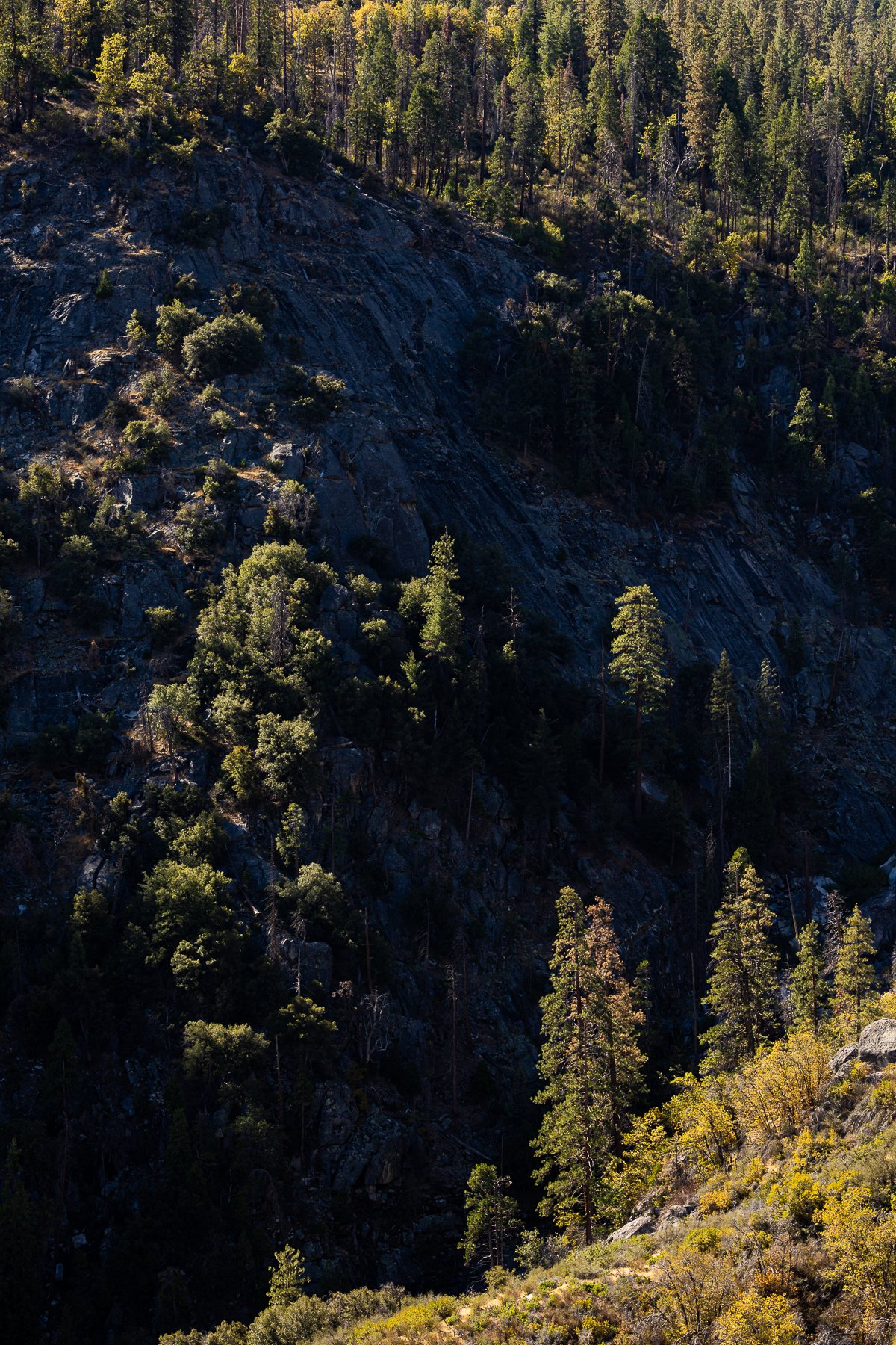 mountain-ridge-view-valley-shadow-photography-blog-post-kings-canyon-NP-national-parks-california-southern.jpg