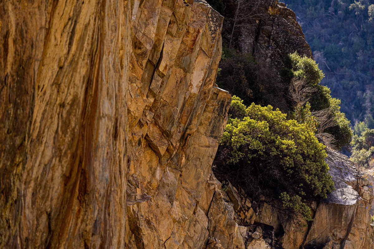 waterfall-road-drive-mountain-ridge-view-valley-plants-cliff-side-growing-kings-canyon-national-park.jpg