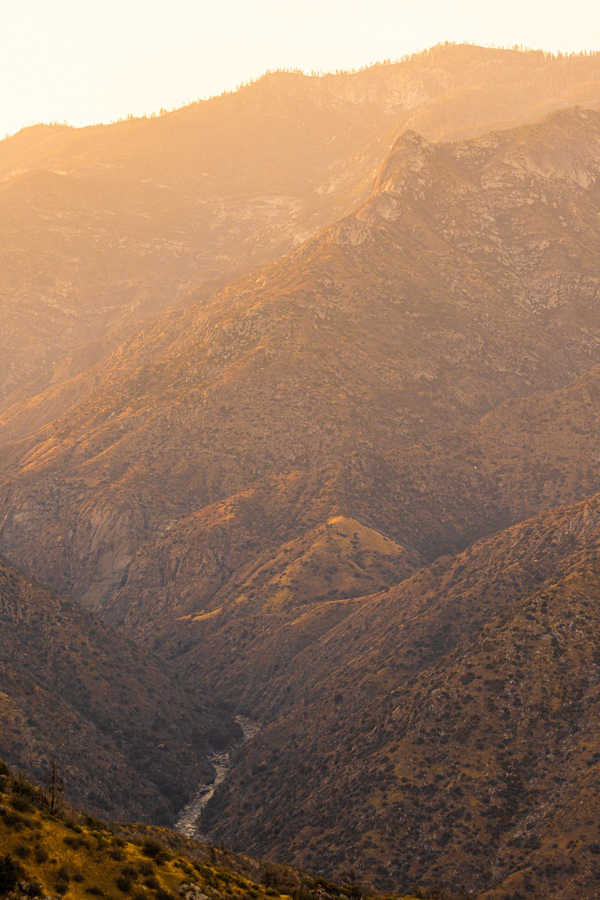 sunset-forest-kings-canyon-national-park-orange-valley-river-light-golden-mountains-dusk.jpg