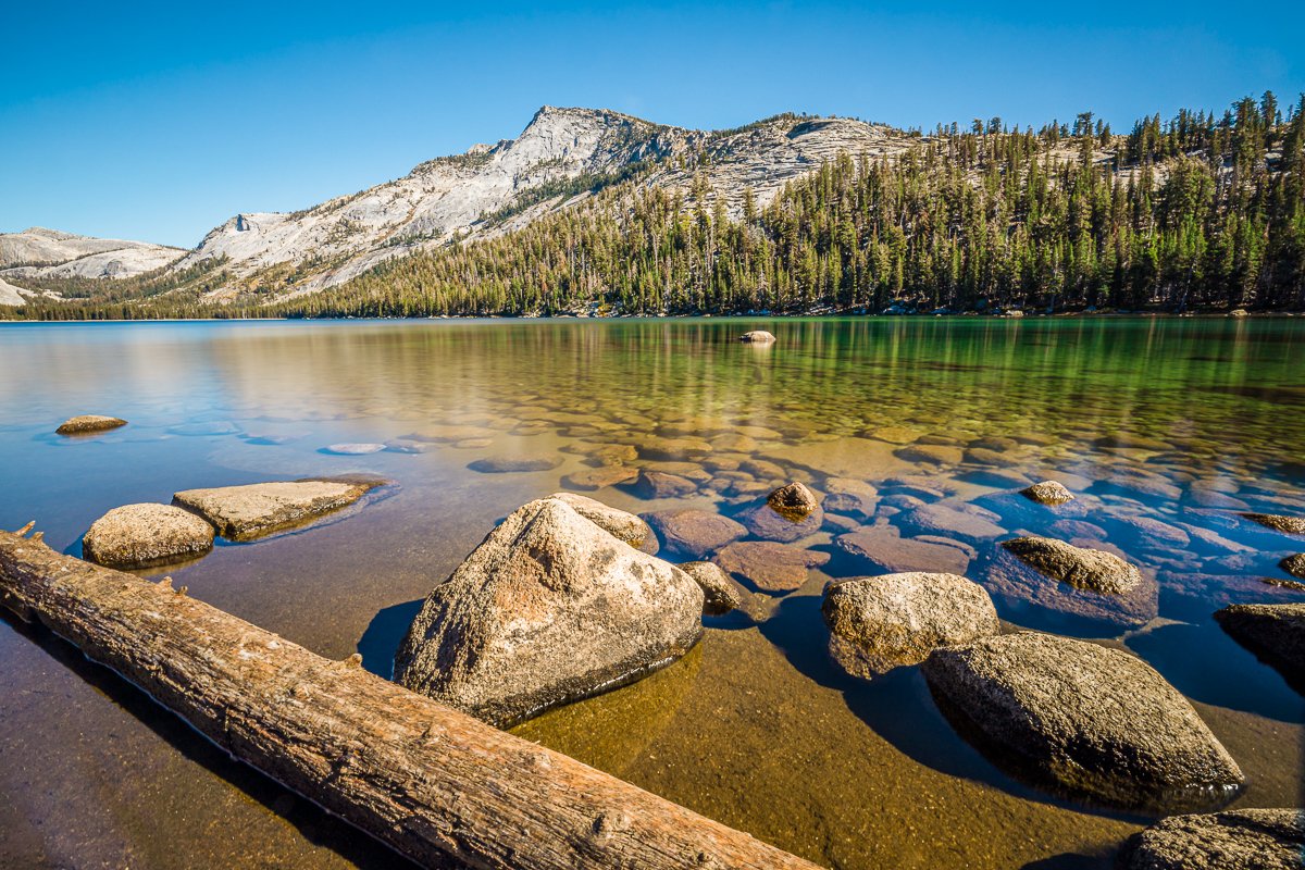 tioga-road-yosemite-national-park-lake-fallen-tree-landscape-photography-travel-blog-photographer-october-fall.jpg