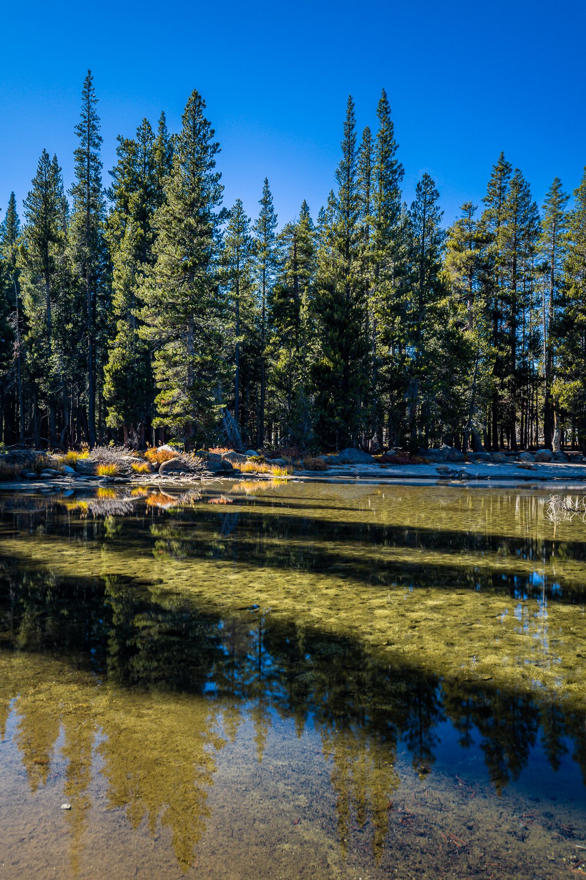 tioga-road-yosemite-national-park-fall-autumn-reflection-tioga-lake-NPS-california-famous-parks.jpg