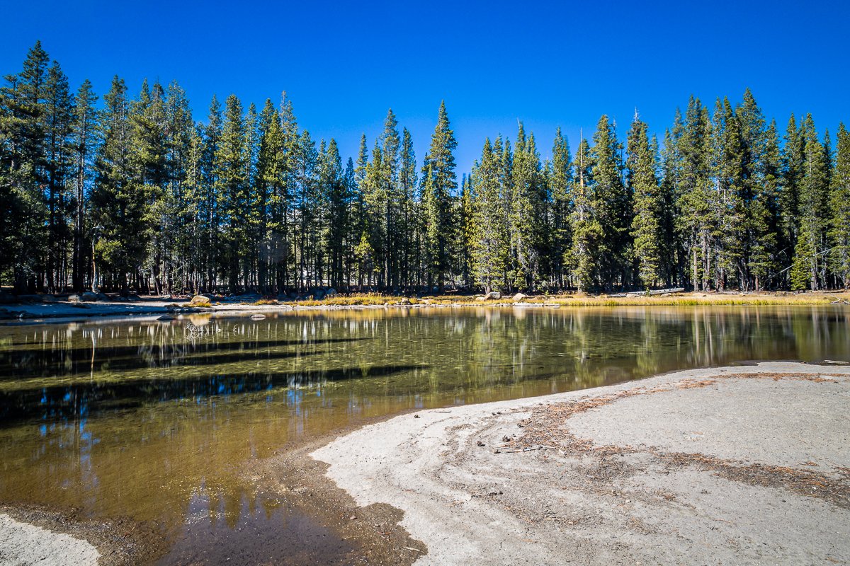 tioga-road-yosemite-national-park-tioga-lake-forest-woods-reflected-trees-yosemite-national-park.jpg