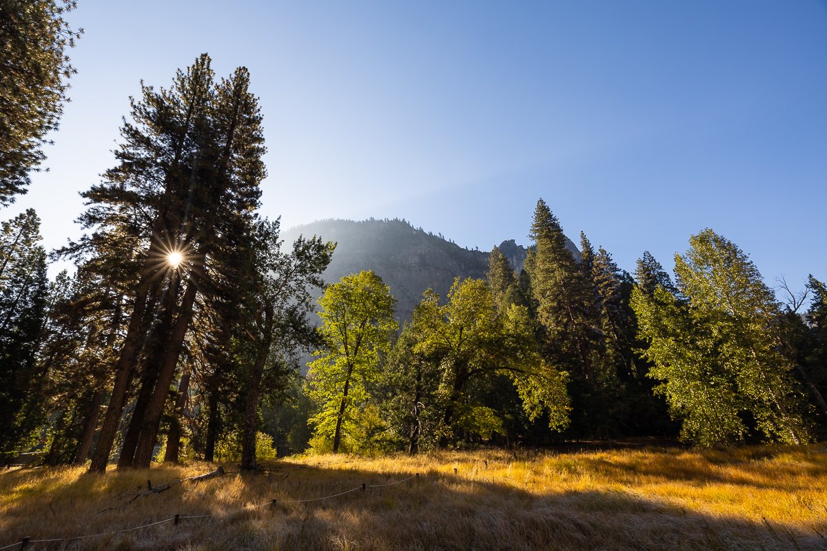 morning-yosemite-national-park-NPS-california-sun-trees-light-village-loop-walk-trail-pines-fir-tree-forest-woods.jpg