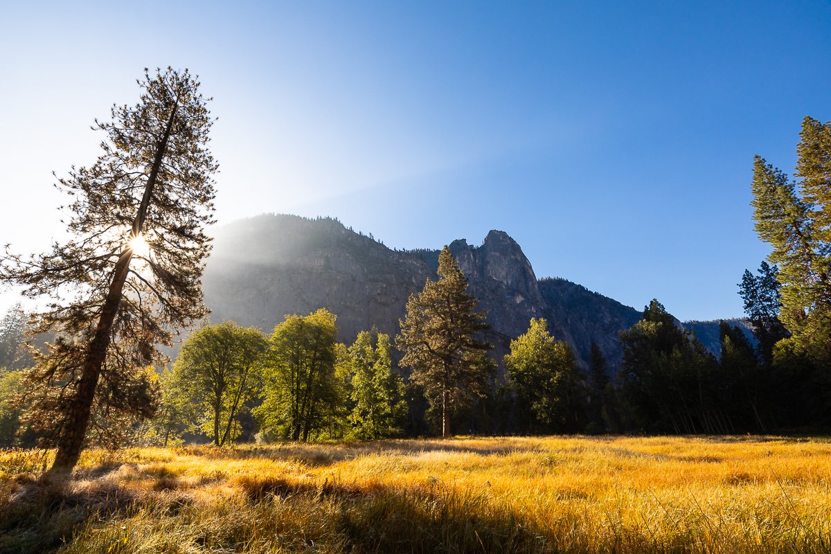 morning-yosemite-national-park-NPS-california-yellow-grass-view-walk-village-loop-trail-meadows-field-travel-tour-tourism.jpg