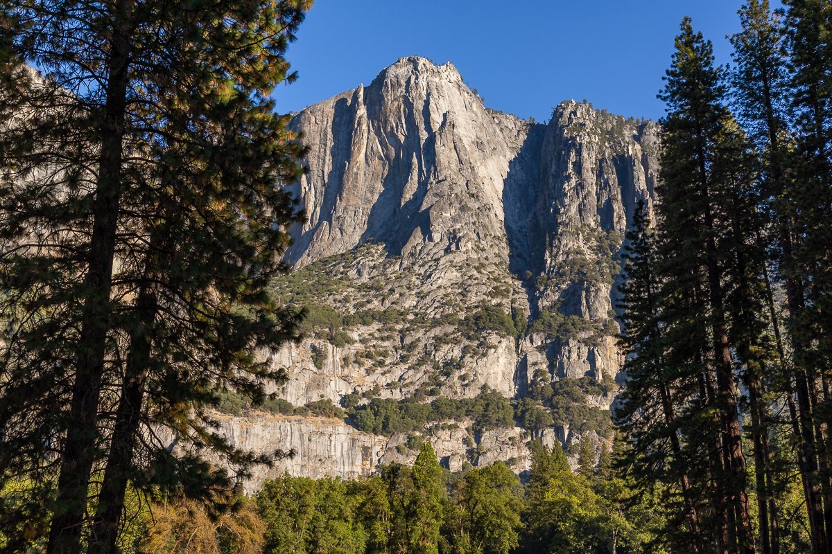 morning-yosemite-national-park-NPS-california-half-dome-trees-landscape-photographer-CA-photo-blog-tour-trip-tourism.jpg