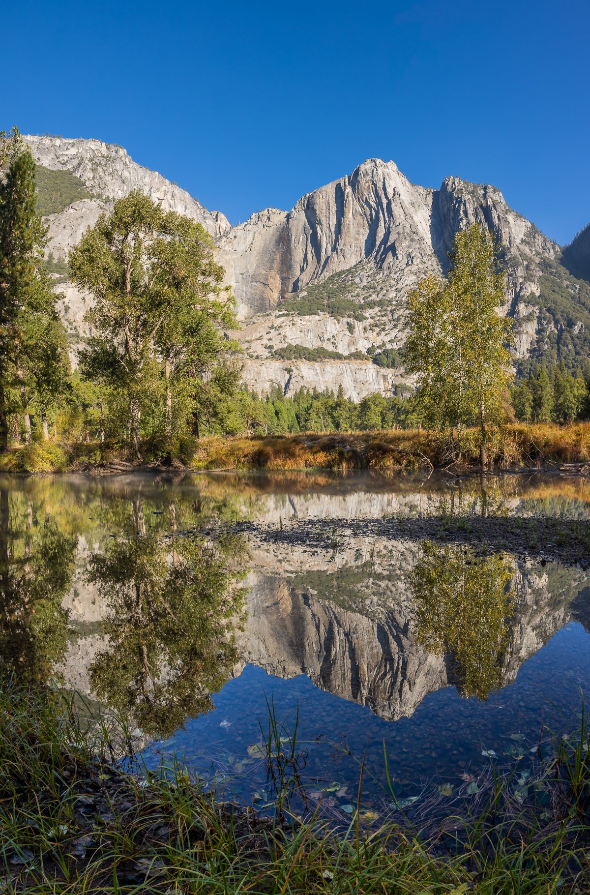 morning-yosemite-national-park-NPS-california-river-reflection-mountains-river-meadow-field-fields-meadows-trees.jpg