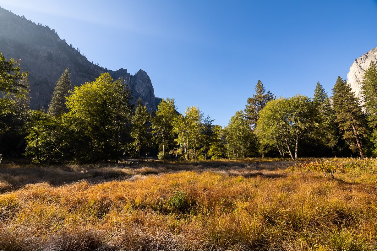 morning-yosemite-national-park-NPS-california-meadows-field-fields-yellow-orange-walk-trip-travel-photography.jpg