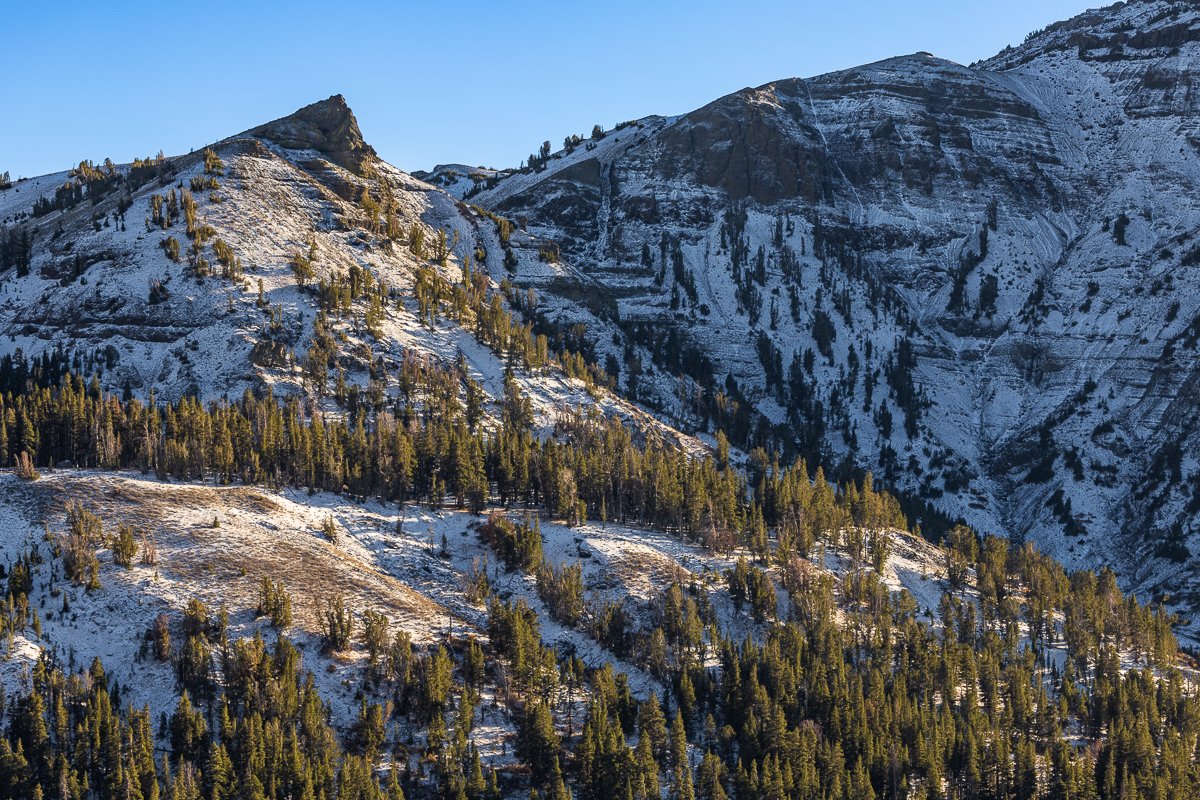 sonora-pass-yosemite-national-park-mountainside-mountains-snow-cliff-winter-fall-autumn-forest-woods.jpg