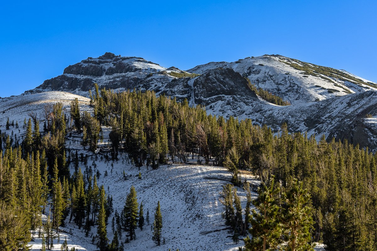 sonora-pass-yosemite-national-park-snow-forest-state-parks-NPS-photographer-winter-california-autumn-fall.jpg