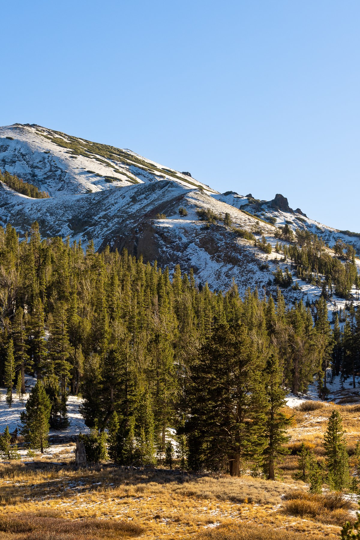 sonora-pass-yosemite-national-park-snow-mountains-cold-morning-state-forest-NPS-parks-photography-blog-post.jpg