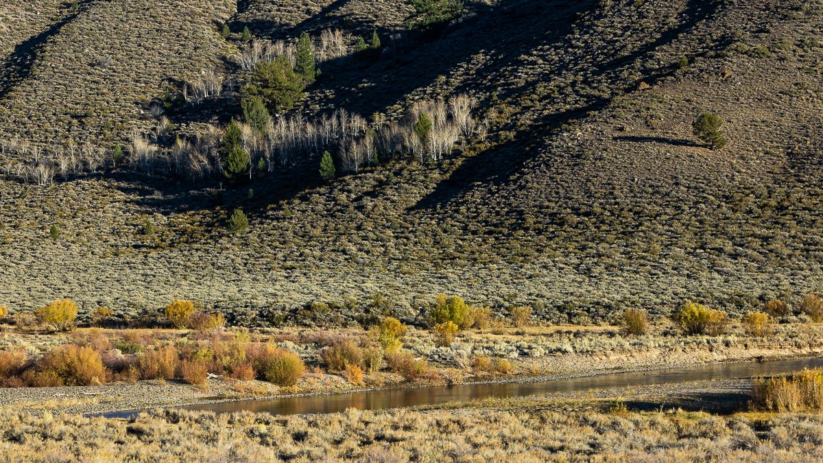 fall-sonora-pass-autumn-leaf-peeping-foliage-october-trees-aspen-yellow-orange-green-landscape.jpg