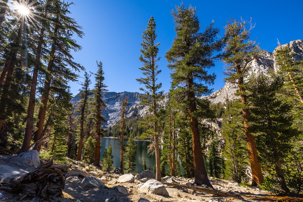 mammoth-lakes-TJ-lake-george-forest-trees-pine-fir-california-landscape-mono-county.jpg