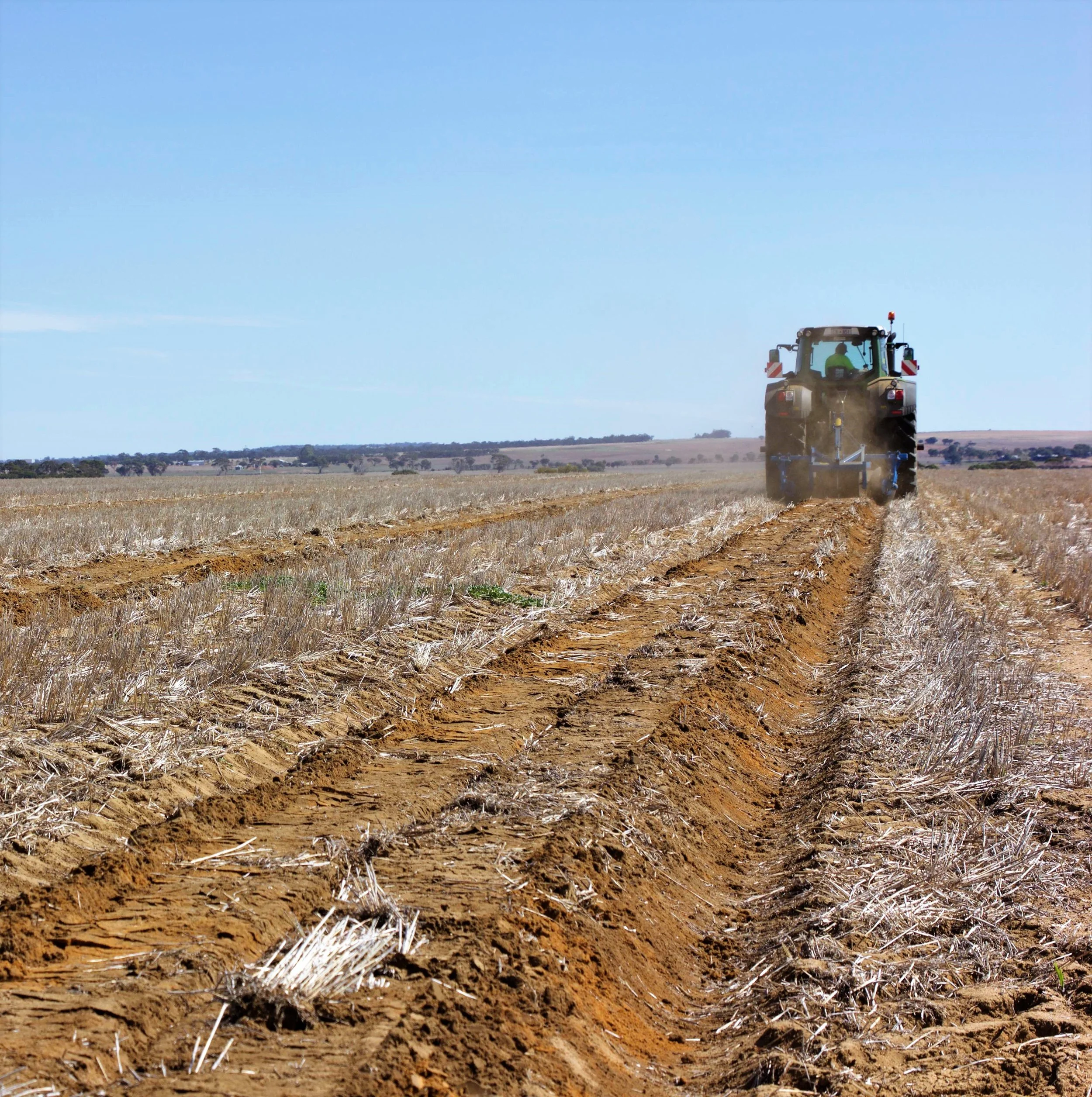 2 - Plantation Design & Land Preparation