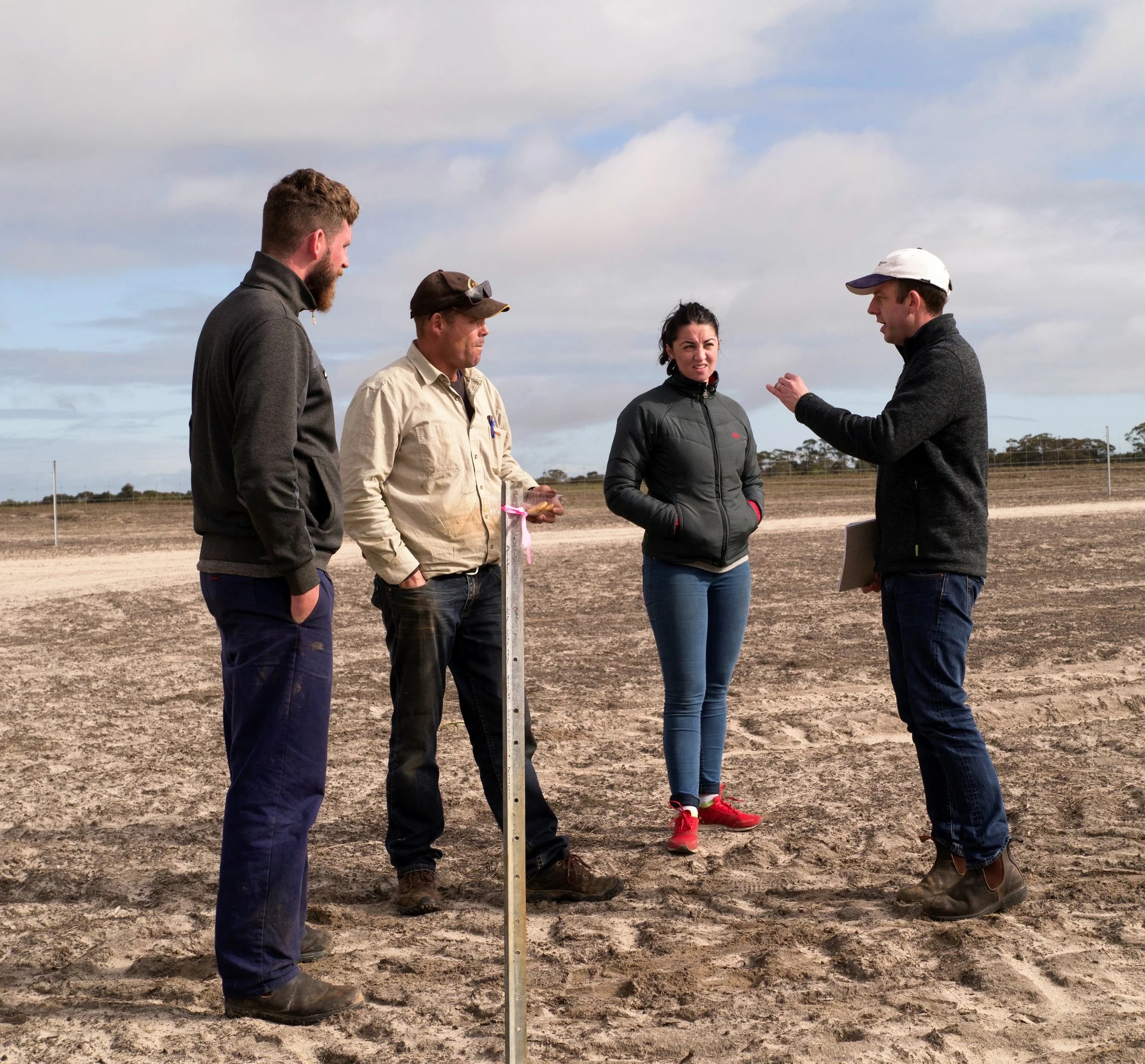 4 - Plantation Maintenance & Optimisation 