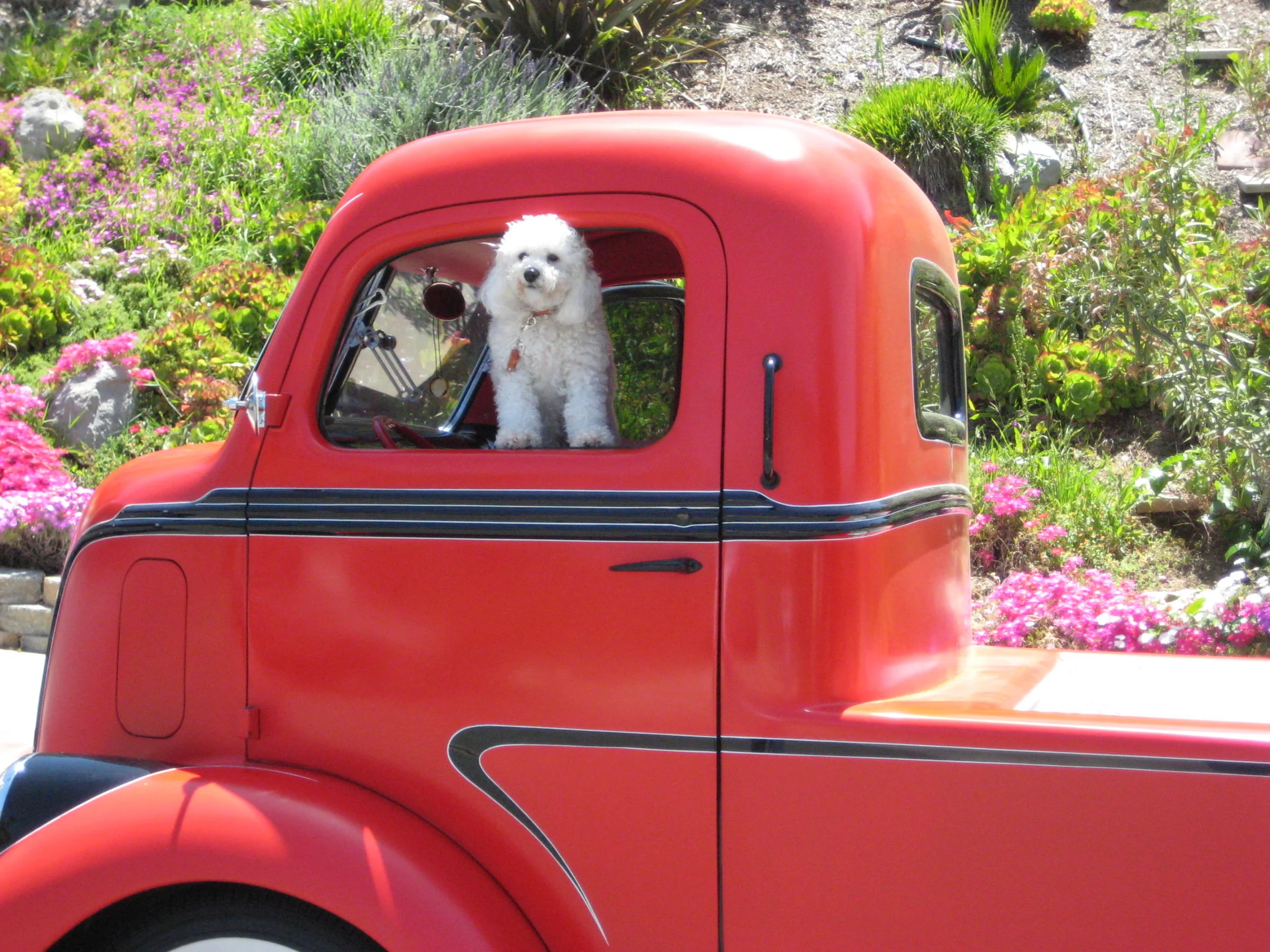 AmericanPictureCars_1940FordCOE-25.JPG