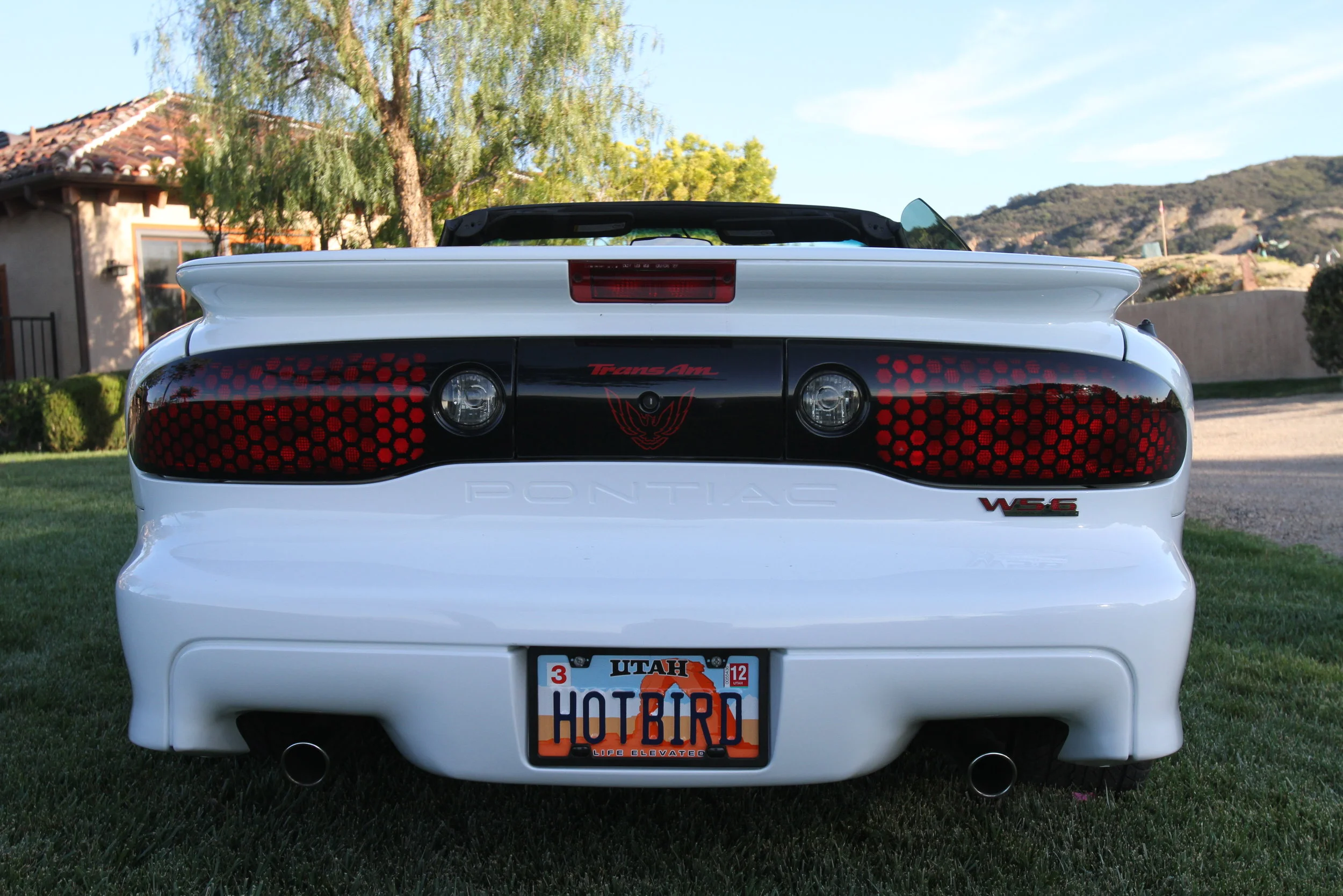 AmericanPictureCars_2002PontiacTransAmWS6-10.JPG