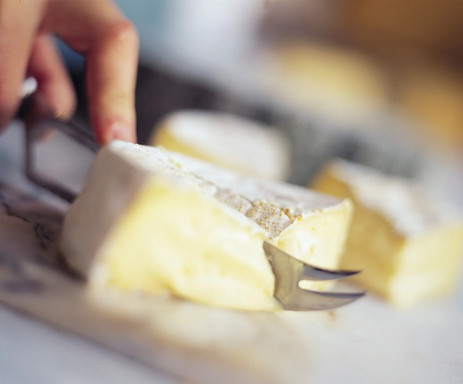 Cutting Cheese.jpg
