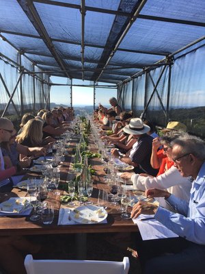 Hedge+Batch+Winery+long+table++wine++cheese+matching.jpeg