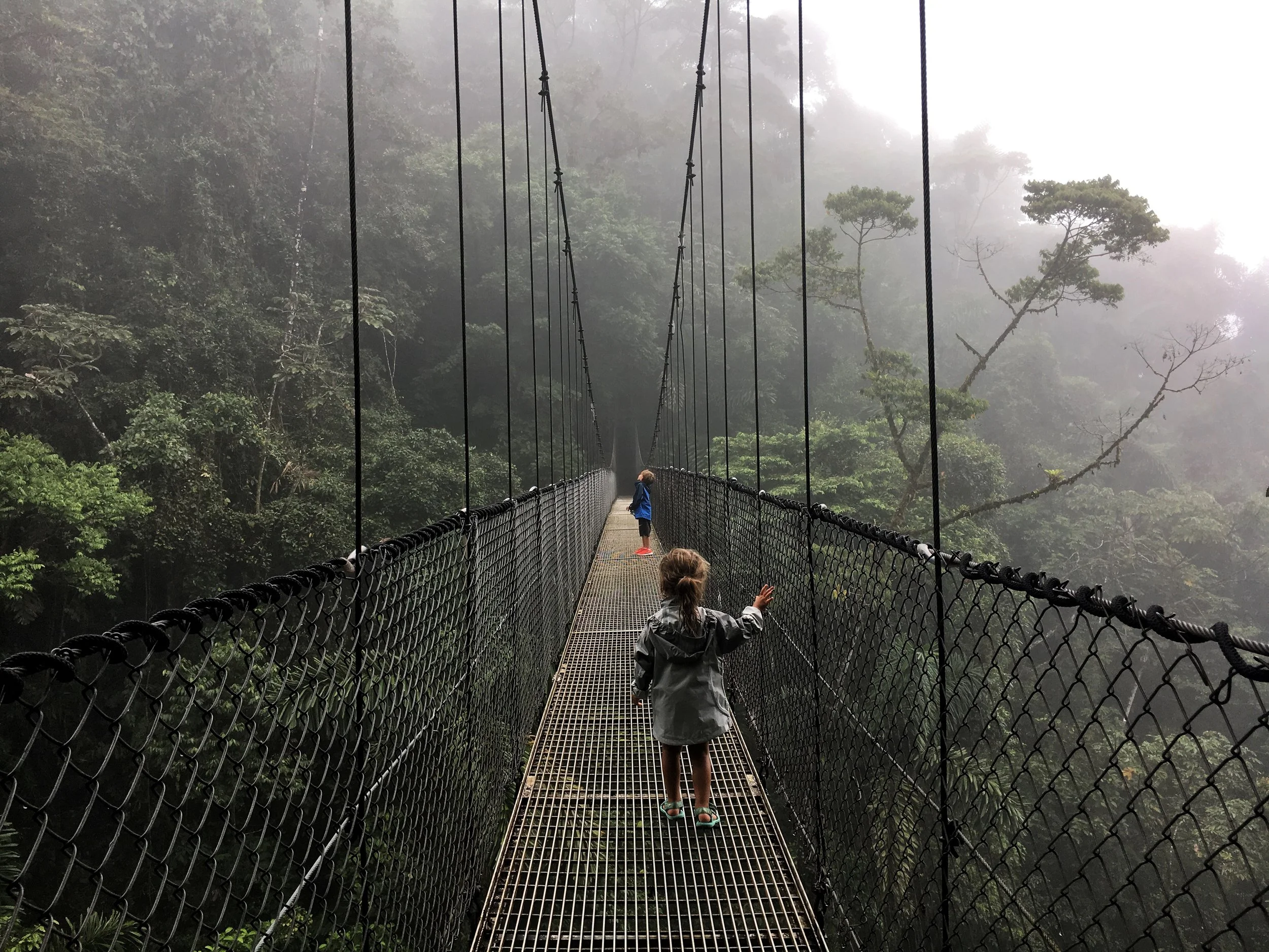 Hiking at the Mistico Arenal Hanging Bridges Park