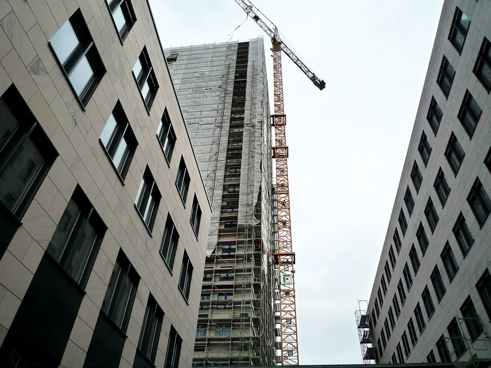 P1030120_bearb.jpg