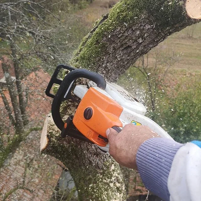 Visko #visinskoobzagovanjedreves #frezanjepanjev #najemdvigala #prekmurje #slovenia🇸🇮 #starahru&scaron;ka #stihl