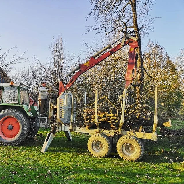 Visko doo #visinskoobzagovanjedreves #podiranjedreves #frezanjepanjev #delonavisini #arborist #prekmurje #slovenia
